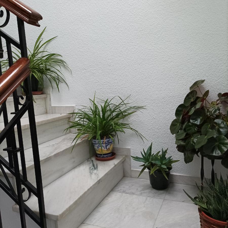 Medina Baguh Apartment *